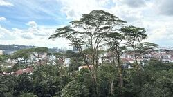 The Skywoods (D23), Condominium #591414161